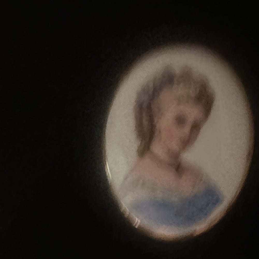 Elegant Blue and White Cameo Brooch
